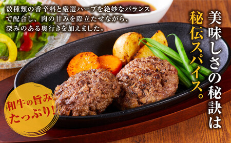 【2026年６月発送】牛タン”入り”和牛生ハンバーグ　100g×10pc　合計1kg