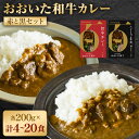 【ふるさと納税】百年の恵み おおいた和牛カレー 赤と黒セット 計4個 計6個 計10個 計20個 セット 1箱 200g カレー レトルトカレー レトルト食品 おおいた和牛 和牛 牛 備蓄 常備食 保存食 お取り寄せ 常温保存 送料無料