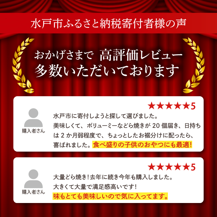 DZ-2　水戸名物　ジャンボどら焼（つぶあん）20個入り　1ケース　トーア乳業謹製