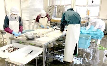 ＼TVで紹介されました／  いわし 缶詰 (水煮) 180g×8缶セット 計1,440g 【 イワシ缶 菊詰め 缶詰 無添加 無着色 海産物 長期保存 非常食 国産 】 RT2504