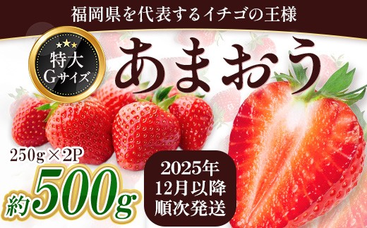 福岡県産 あまおう 約500g前後（約250g×2）12月以降発送 3KC4