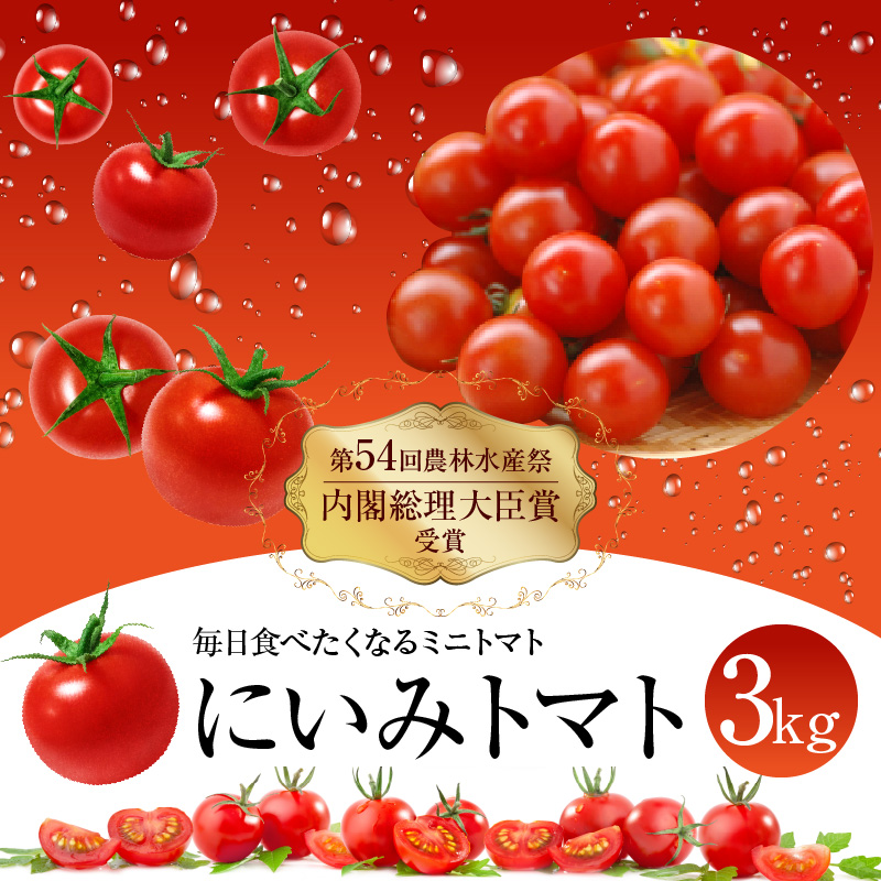 【内閣総理大臣賞受賞】毎日食べたくなるミニトマト３kg 農林水産大臣賞受賞 日本農業賞大賞受賞 H031-005