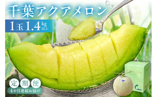 
                  【定期便】【TVで紹介！】千葉アクアメロン1玉（1.4Kg）【4か月連続お届け】 mi0018-0005
                