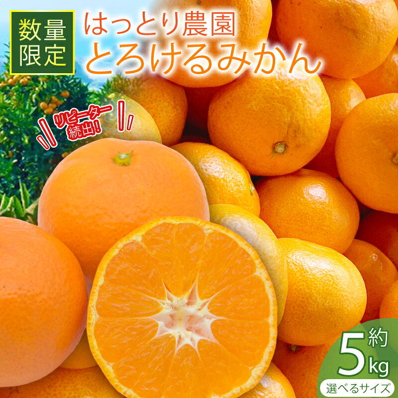 【ふるさと納税】 【選べる】 とろけるみかん 5kg S～Lサイズ 先行予約 早期予約 家庭用 みかん 5kg 柑橘 蜜柑 ゆら早生 期間限定 文旦 季節限定 先行予約 ふるさと納税 みかん フルーツ 人気 高知 安田町 HT-05