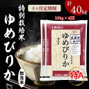 【ふるさと納税】特栽米 ゆめぴりか 無洗米 5kg×2 定期便 毎月1回・計4回お届け 日経トレンディ 米のヒット甲子園 大賞受賞