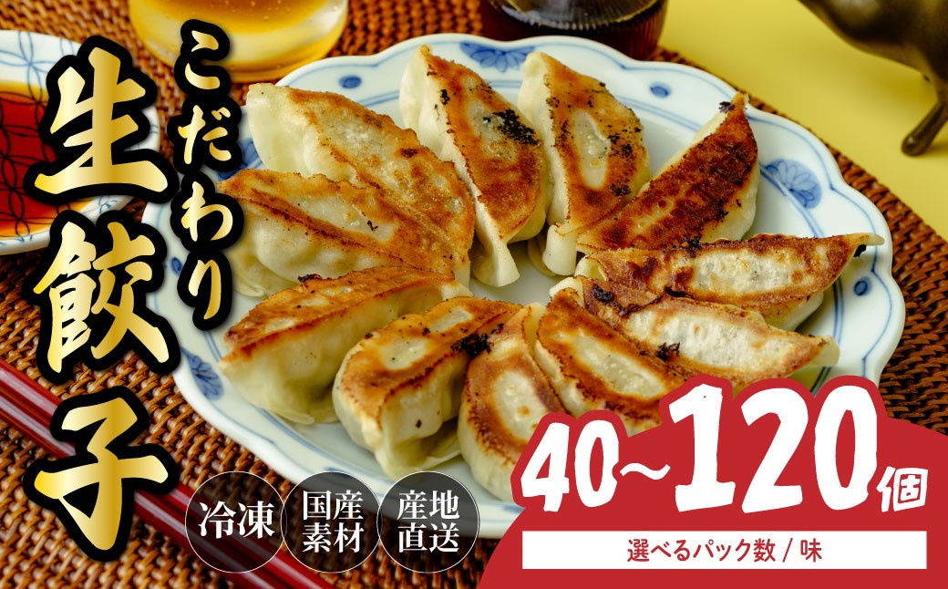 
            餃子 40～120個 選べる味 人気店の旨味あふれる冷凍餃子 | 大量 大容量 ギョウザ 冷凍餃子 ギョーザ 冷凍ギョウザ 冷凍 冷凍ぎょうざ ぎょうざ ぎょーざ おいしい 手軽 食べ比べ 美味しい おつまみ 国産野菜 中華 簡単調理 惣菜 北本フーズ 埼玉県 北本市
          