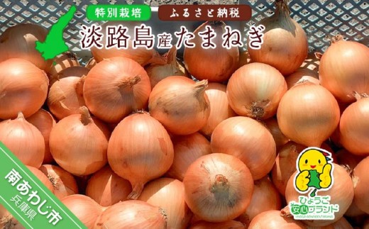 
                  【量が選べる！淡路島玉ねぎ！】【あさひサンファーム】【Mサイズ】ひょうご安心ブランド★特別栽培★淡路島たまねぎ
                