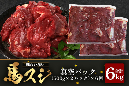 【 定期便 6回 】 熊本県 馬スジ 1㎏（ 500g×2 ） × 6回 【 合計 6kg 】 【 馬肉 すじ肉 大容量 本場 熊本県 馬 赤身 煮込み カレー シチュー 冷凍 真空 熊本 肥育 ヘル