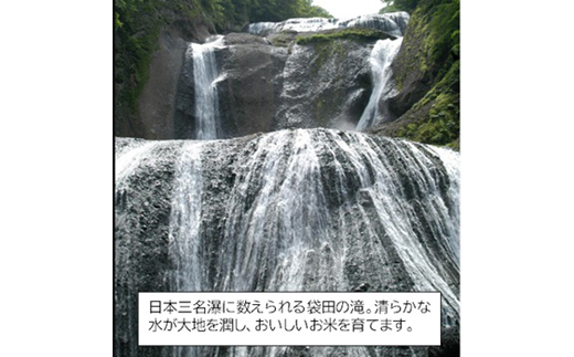 筑波山麓産米を中心に厳選した【茨城県産こしひかり】白米10kg 令和7年産【配送不可地域：離島・沖縄県】【1700082】