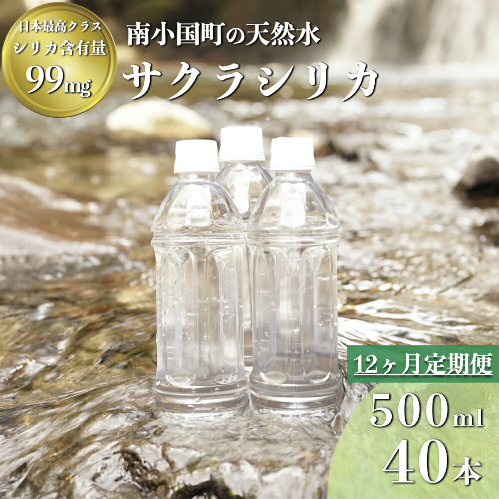 【ふるさと納税】 12ヶ月 定期便 南小国町 サクラシリカ 500ml 40本 12回 1年 シリカ水 シリカ 飲むシリカ のむシリカ 水 天然水 ネラルウォーター ラベルレス エコ ペットボトル ケース 熊本 阿蘇 南小国町 送料無料
