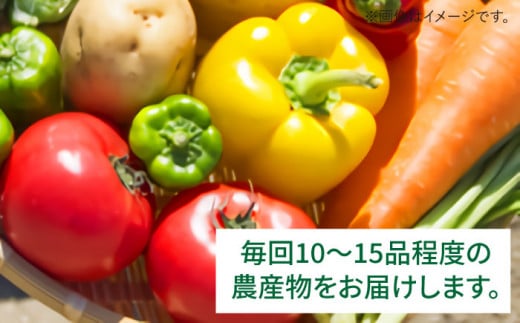 【 全12回 定期便 】 福岡県 糸島産 旬 の 野菜 盛り合わせ セット 《糸島》【株式会社フロンティア・アドバンス】[AWC009]