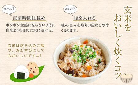 【令和7年産】富山県産こしひかり　育（はぐくみ）玄米３０kg《南砺の逸品》