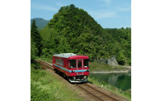 ふるさと納税記念　長良川鉄道 全線 １日 フリー 乗車証 | 長良川 鉄道 列車 列車旅 M12S70