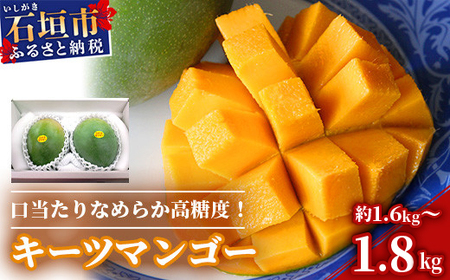 ＜先行予約＞沖縄県石垣島産 キーツマンゴー 約1.6～1.8kg【2026年8月発送】【口当たりがなめらかな 高糖度マンゴー】