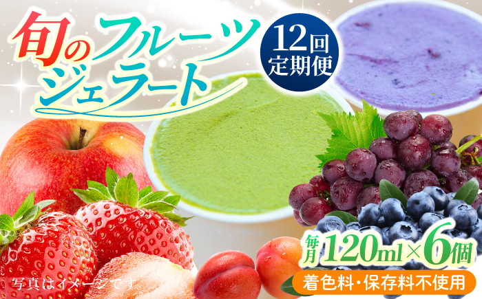 
                  【12回定期便】果樹園が作る 素材の味を楽しめる 旬のジェラート 120ml×6個セット【ソルベッチdoうきは】着色料不使用 ノンホモ牛乳使用 ジェラート アイス 旬 スイーツ 詰め合わせ セット シャーベット ミルク フルーツ デザート 定期便
                