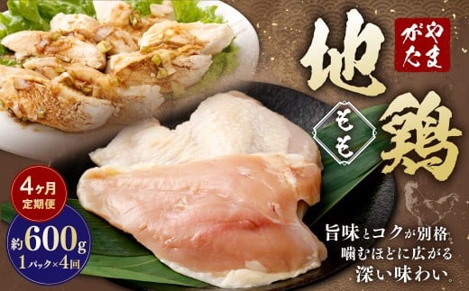 【4ヶ月定期便】 やまがた地鶏 もも 約600g 4回 計2.4kg 地鶏 モモ肉 国産 お取り寄せ