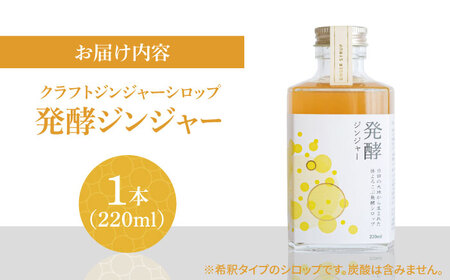ピリっと生姜にスパイスの甘い香り！身体にも心にも優しい発酵ジンジャーシロップ！発酵ジンジャー（1本）スパイス 炭酸 シロップ[ARDA008]