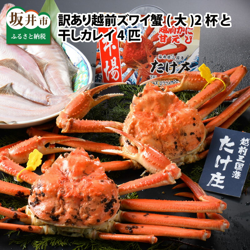 【ふるさと納税】【先行予約】訳あり かに ≪茹で≫越前ズワイ蟹(大) 2杯 と 干しカレイ 4匹【2026年1月〜3月お届け】越前がに 越前ガニ ズワイガニ 国産 県産