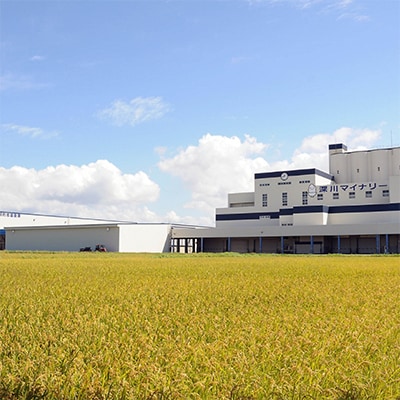 【令和8年産・先行予約】北海道深川産ゆめぴりか10kg(5kg×2袋)(普通精米) 新米 お米