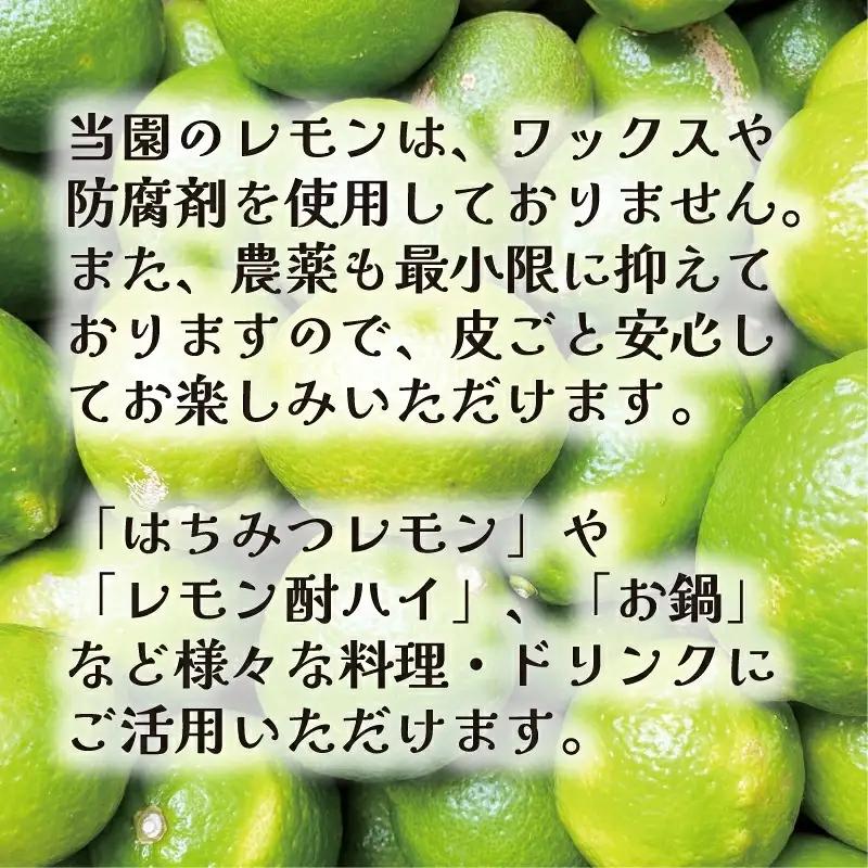 【先行予約：2026年11月上旬～発送】 訳あり レモン3kg レモン果汁300ml セット 7000円 柑橘 檸檬 国産 れもん フルーツ 果物 果実 産地直送 農家直送 数量限定 期間限定 特産品