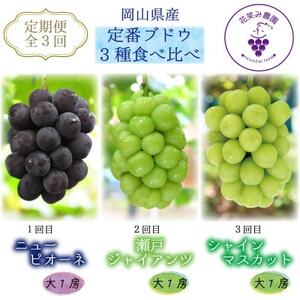 【3週間毎定期便】岡山　花笑み農園のピオーネ、瀬戸ジャイアンツ、シャインの大1房の定番ぶどう便全3回【配送不可地域：離島・北海道・沖縄県】【4064696】