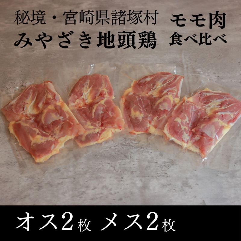 【ふるさと納税】みやざき地頭鶏 オスメス食べ比べモモ肉セット　鶏肉 地鶏 赤身 宮崎県 諸塚村　お届け：2025年10月上旬～2030年10月上旬まで