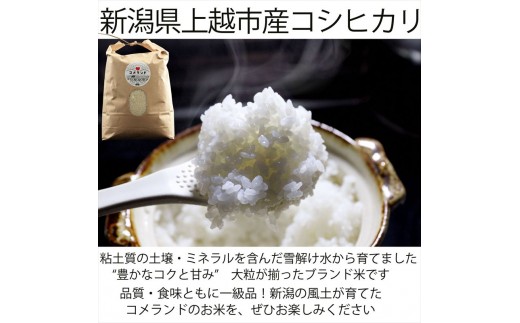 令和8年産 先行予約 上越市産 コシヒカリ 5kg 5キロ 定期便  定期便3回　精米 新潟県 上越市 板倉区 コメランド こしひかり 限定 おすすめ 米 コメ