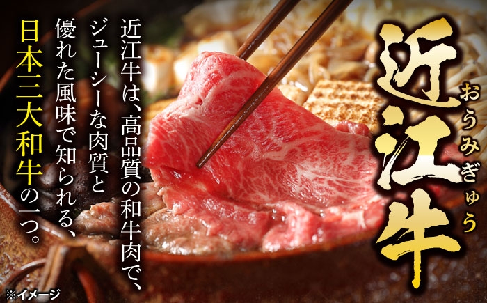すき焼き肉 すき焼きセット 和牛 すき焼き 牛肉 和牛 焼肉 しゃぶしゃぶ 焼肉 近江牛 国産 人気 ギフト おすすめ 長浜市