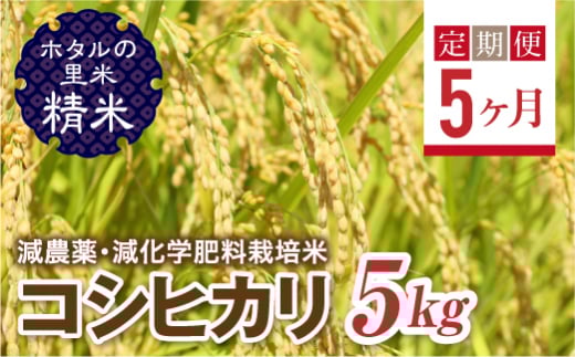 ＜定期便5ヶ月＞【ホタルの里米】環境に配慮し農薬を減らした栽培米 コシヒカリ精米5kg F4D-1435