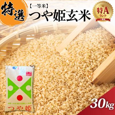 ふるさと納税 河北町 【令和7年産米】一等米 特別栽培米 つや姫 玄米 30kg 山形県産【丹野商店】