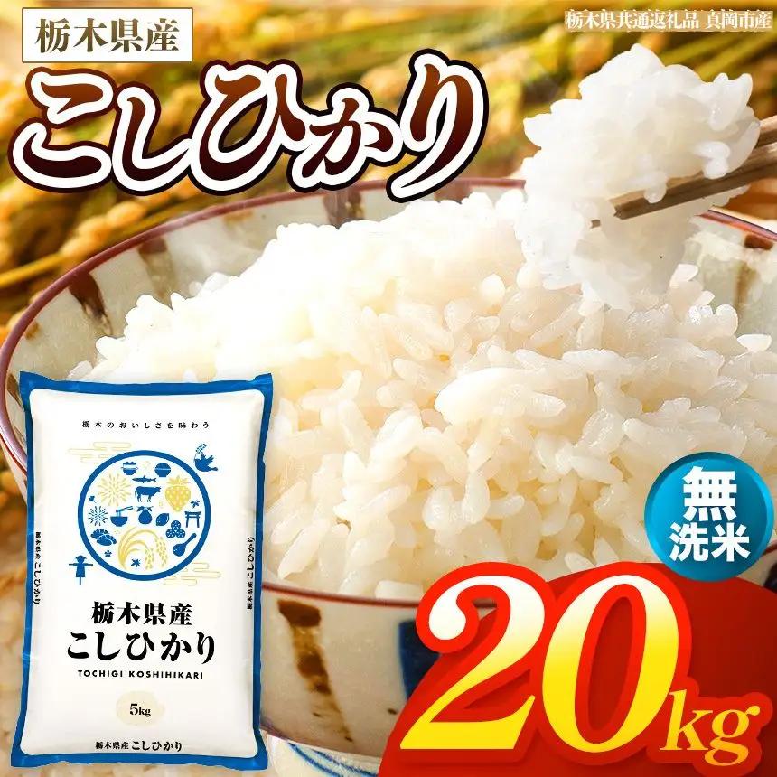 【令和8年産 新米】 栃木県産 お米 こしひかり　（無洗米） 20kg 【2026年秋以降発送】 |  栃木県 矢板市 【栃木県共通返礼品 真岡市産】