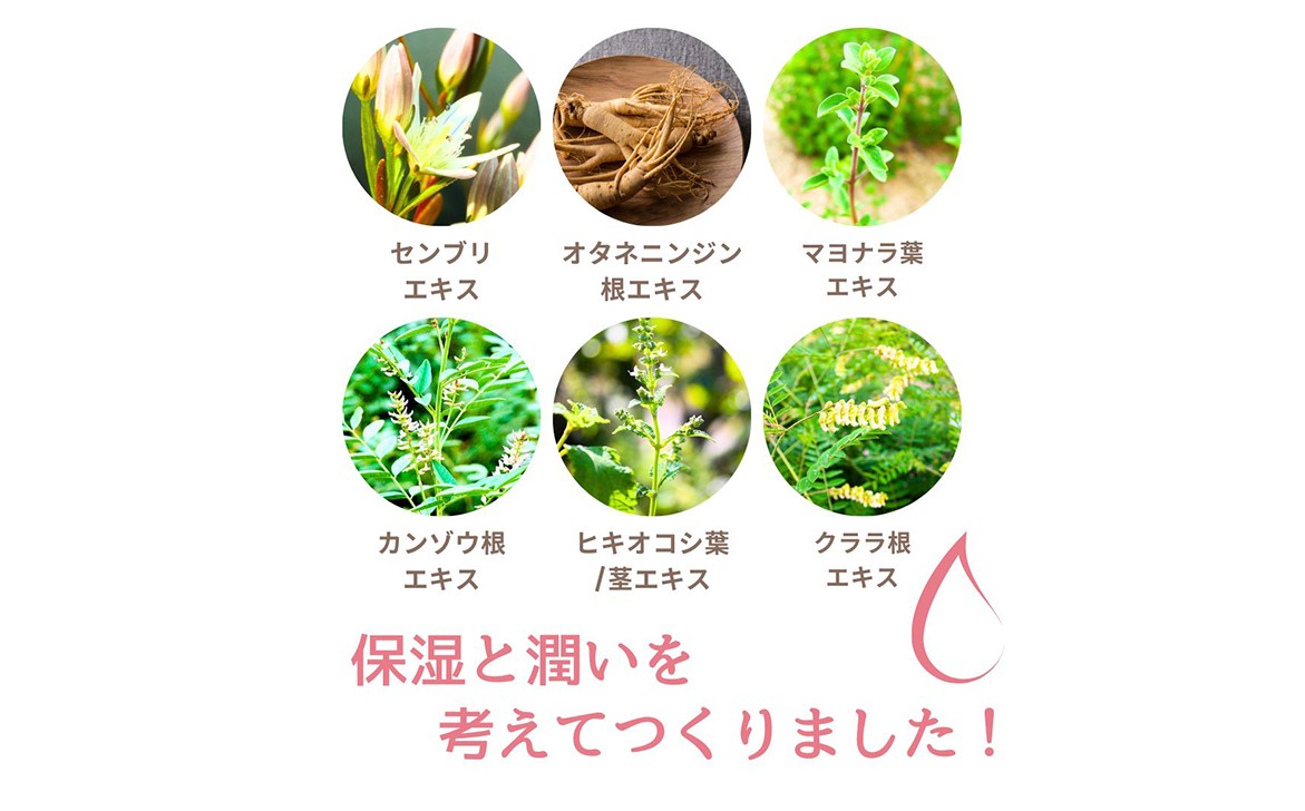 B25-080 粋な艶髪スカルプローション