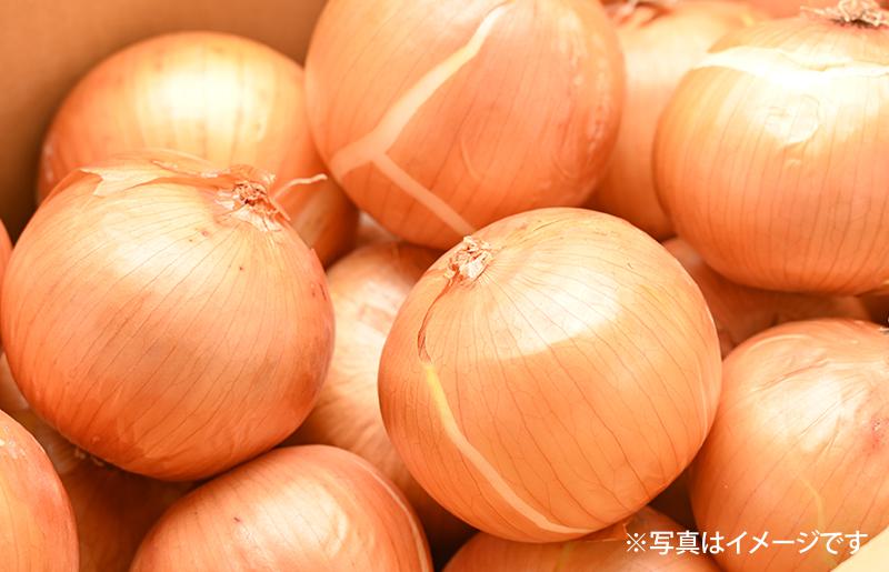 射手矢さんちの玉ねぎスープ 10食×3箱【玉ねぎ タマネギ 玉葱 射手矢農園】 G1306