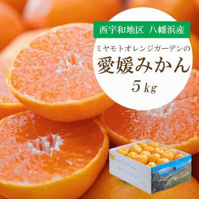 【ふるさと納税】【2025年11月より順次発送】西宇和地区八幡浜産 愛媛みかん 5kg【C25-21】_ みかん 蜜柑 ミカン 柑橘類 柑橘 フルーツ 果物 くだもの 人気 美味しい 愛媛県 八幡浜市 ふるさと 【1044410】