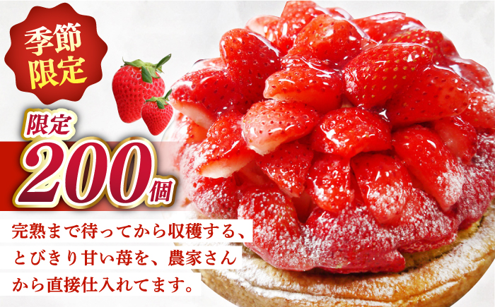 完熟平戸産苺のストロベリーチーズタルト1ホール18cm【心優　-Cotoyu Sweets-】[KAA350]