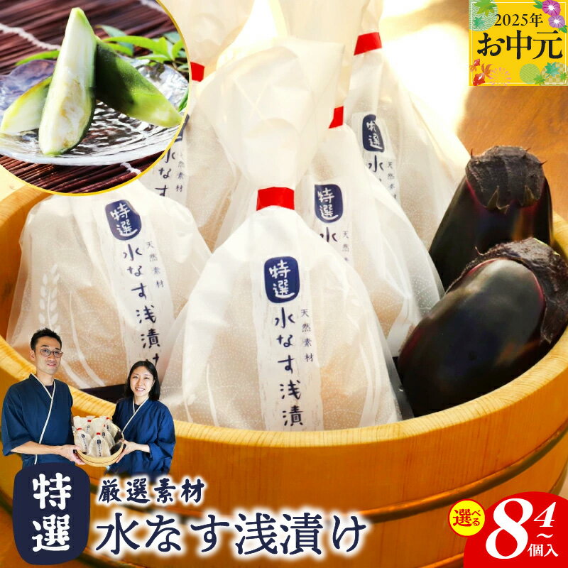 【ふるさと納税】 特選最上級品 天然素材 水なす 浅漬け 4個入 / 8個入 泉州 特産 漬物 ぬか漬け 泉佐野産 毎朝採れたて 新鮮 無添加 保存料 香料 着色料 色止め剤 不使用 食べ頃等の説明書 付き 2025年4月上旬以降発送 泉佐野市 送料無料