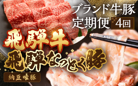 【定期便４回】 飛騨牛＆納豆喰豚 お楽しみ定期便（しゃぶしゃぶ用、焼肉用）【11-T】
