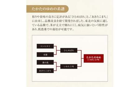 令和7年産 白米 10kg 品種：たかたのゆめ 陸前高田市 オリジナル ブランド 冷めてもおいしい
