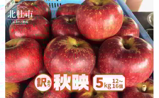 【2025年先行予約】【訳あり】秋映5kg(12個～16個） りんご 訳あり 2025年先行予約 山梨県産 秋映 期間限定 5kg 12個～16個 家庭用 規格外 フルーツ 果物 果実 山梨 北杜市