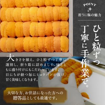 ふるさと納税 浜中町 ≪プロ厳選≫最高級折うに(極)男塾バージョン計500g_H0014-124 |  | 01