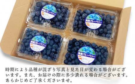 熊本県あさぎり町産 手摘みブルーベリー 生果実 約1kg 熊本県産 ブルーベリー フルーツ【発送時期：2025年６月下旬～8月中旬】