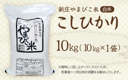 米 令和6年産 コシヒカリ 10kg 新庄やまびこ米（白米） [m23-b003]