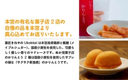 [菓匠きねや・ぬか茂菓子店]Ukokkei5個・かりんとう3種セット　【07214-0405】