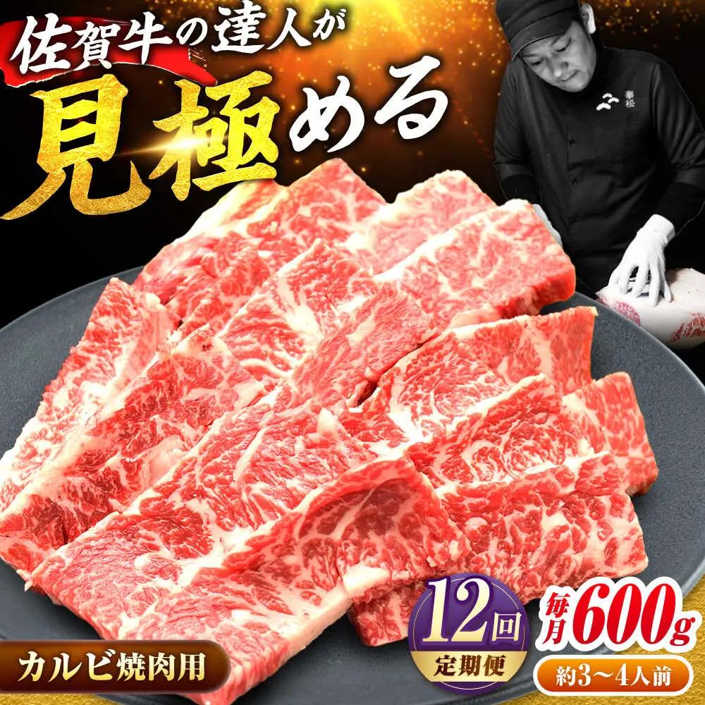 12回定期便  佐賀牛 カルビ 600g 黒毛和牛[FAY104]