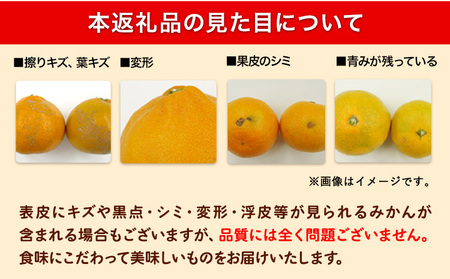 訳あり早生みかん 5kg みかん 訳あり