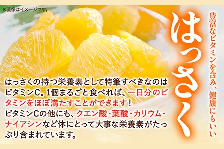 【訳あり/ご家庭用】はっさく 約4kg (4L~Sサイズ)サイズ不選別 早生 晩生指定不可 《2024年2月上旬-4月中旬頃出荷》和歌山県 紀の川市 産地直送 みかん 八朔 柑橘 果物 フルーツ ご家庭用 ビタミンC たっぷり---wfn_wlocal7_2j4c_24_7000_4kg---