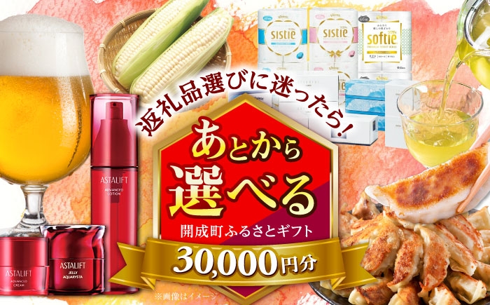 
            【あとから選べる】開成町ふるさとギフト 3万円分 あとから寄附 選べる寄附 ティッシュ トイレットペーパー 化粧品 餃子 お茶 日本酒 定期便 神奈川 開成町 [BDZZ001]
          
