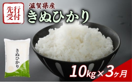 【令和7年産先行受付】 きぬひかり 10kg ( 5kg ×2) 3回定期便 令和7年産 定期便 新米 米 精米 こめ コメ お米 ご飯 米 キヌヒカリ 先行受付 米定期便 3か月定期便 3ヶ月定期便 3回 3ヶ月 3か月 滋賀 彦根