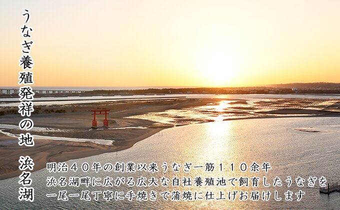 うなぎ 浜松 ウナギ 蒲焼 120g × 4尾 （計480g） 国産 浜名湖 国産うなぎ うなぎの蒲焼 土用の丑の日 丑の日 魚 魚介 魚介類 惣菜 おかず おつまみ つまみ 丼 小分け セット 鰻 かば焼き うなぎの蒲焼き うなぎ蒲焼 真空パック 冷蔵 静岡県浜松市