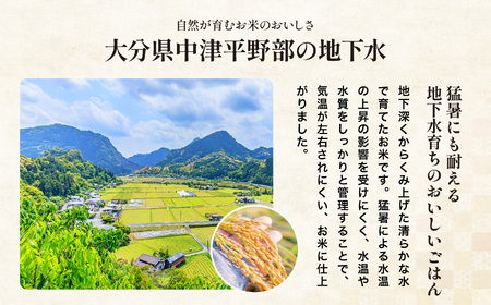 ゆうちゃんファームのお米 5kg ヒノヒカリ | 新米 減農薬栽培 精米直送 令和7年新米 大分県産 中津 和食 朝ごはん お米 米 おこめ こめ 精米 白米 九州産 国産 国産米 ひのひかり 大分県